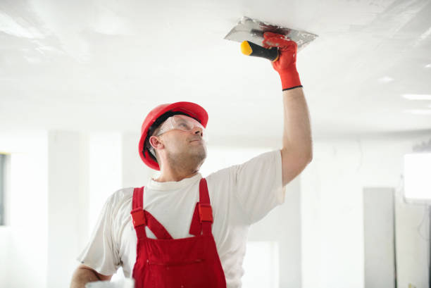 Best Trim and Molding Painting  in Lakeside, TX